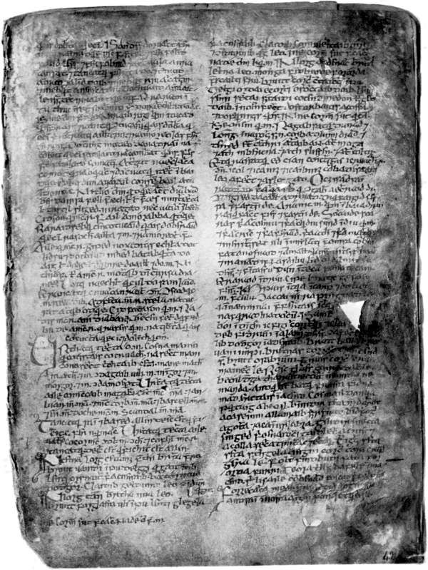 Page de manuscrit médiéval irlandais sur vélin, texte serré sur deux colonnes